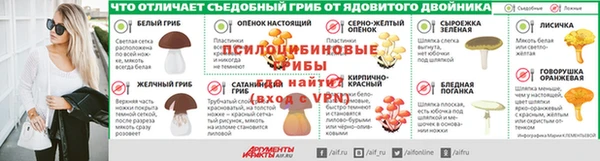 МДПВ Богородск