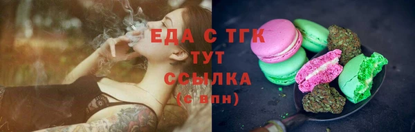 гашиш Богданович