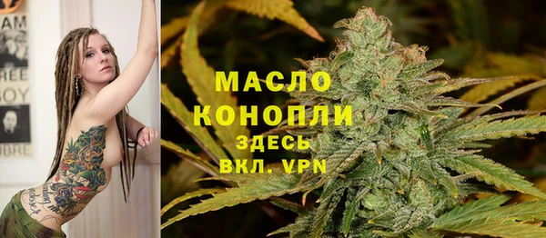 гашиш Богданович