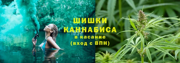 гашиш Богданович